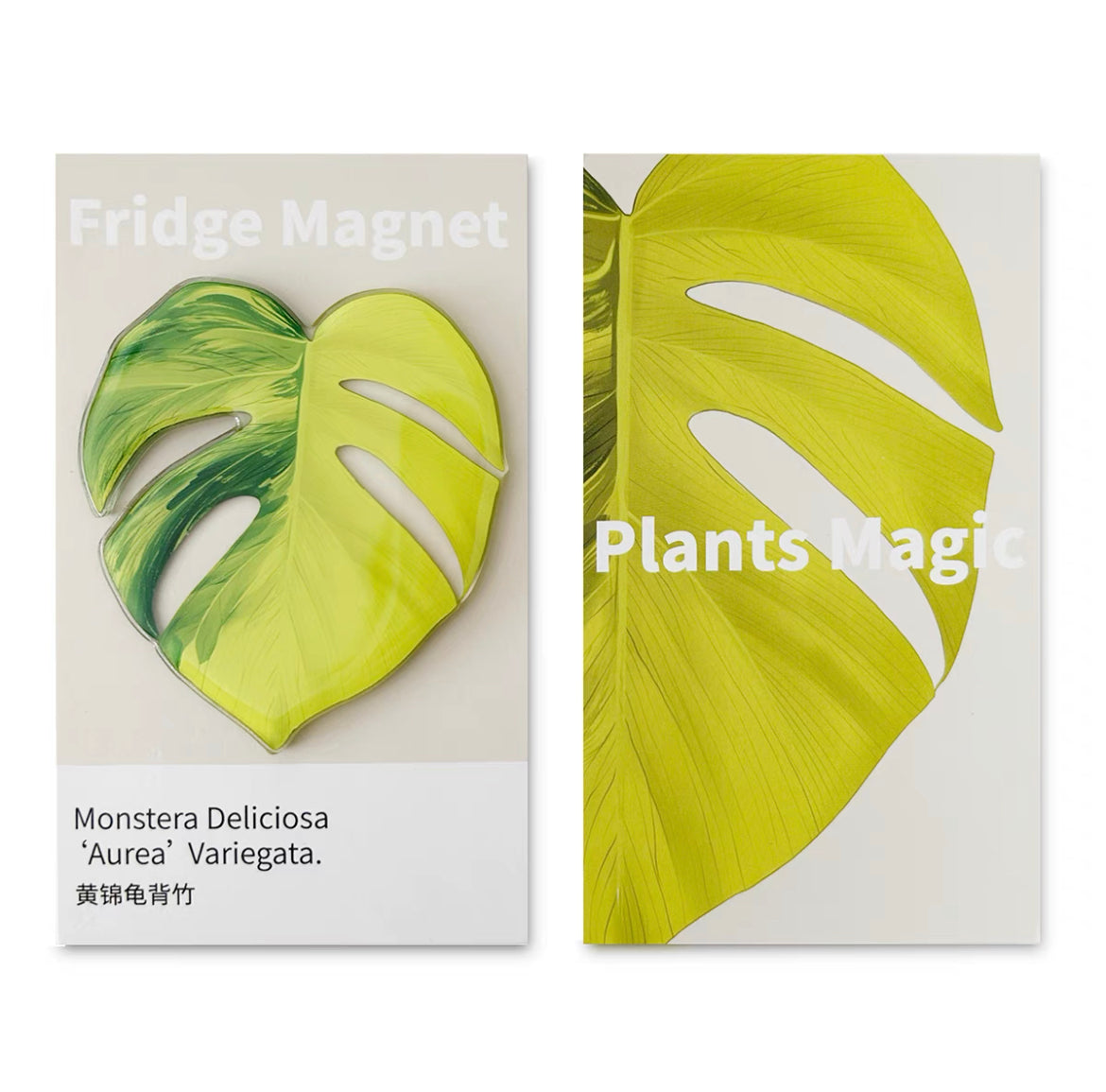 Tropical Plants Fridge Magnet - Monstera deliciosa - Monstera Aurea | Celebration Gifts Home Fun Decorations