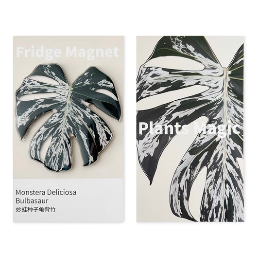 Tropical Plants Fridge Magnet - Monstera deliciosa - Bulbasaur | Celebration Gifts Home Fun Decorations