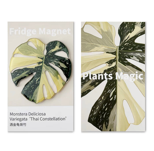 Tropical Plants Fridge Magnet - Monstera deliciosa - Monstera Thai Constellation | Celebration Gifts Home Fun Decorations